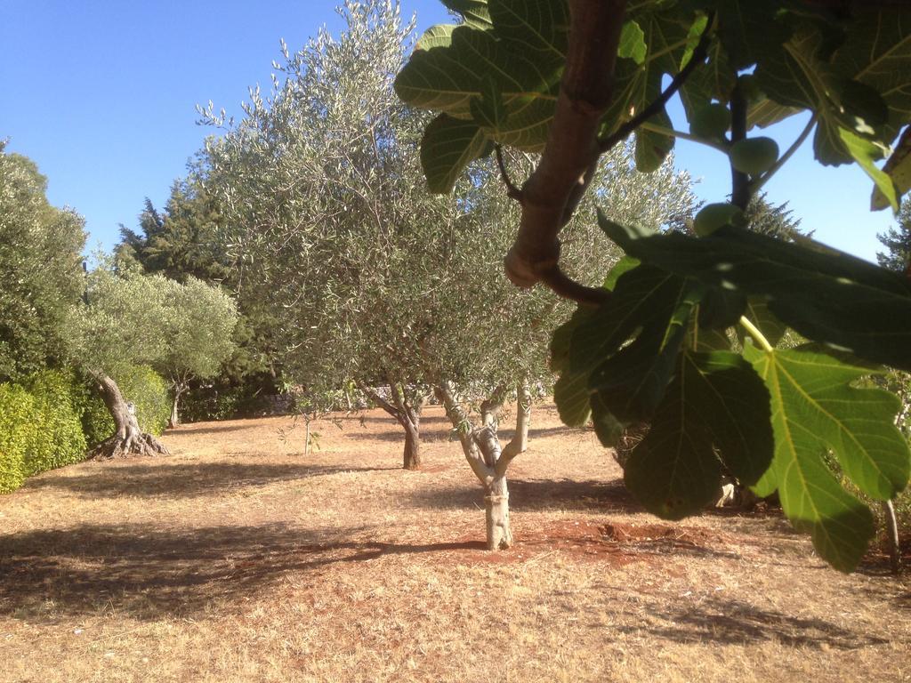 Trullo Picchiagiuda Villa Ostuni Kültér fotó