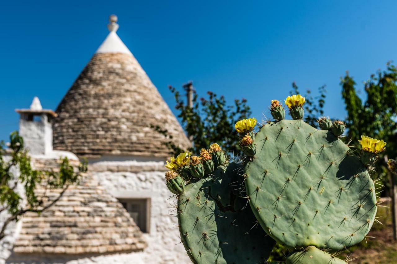 Trullo Picchiagiuda Villa Ostuni Kültér fotó